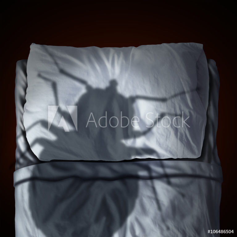 How to find Bed bug Exterminator Scottsdale 768x768