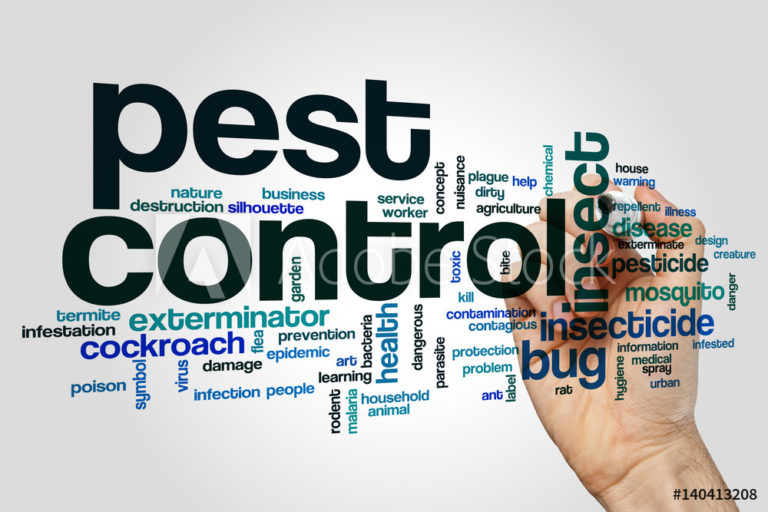 pest control services Yuma AZ 768x512