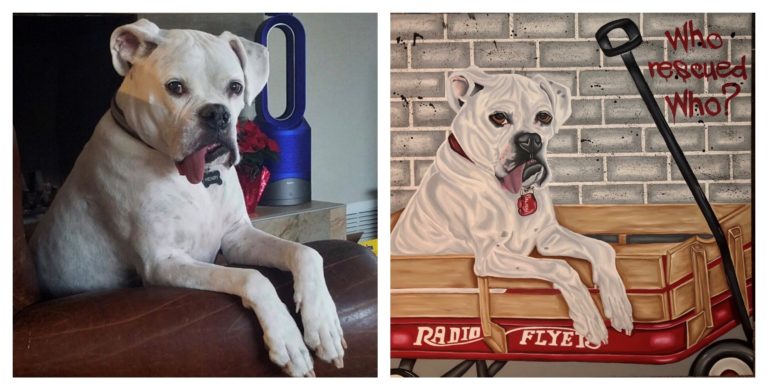 Henry White Boxer 768x389