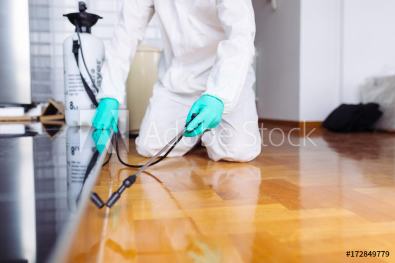 pest management yuma az 768x512