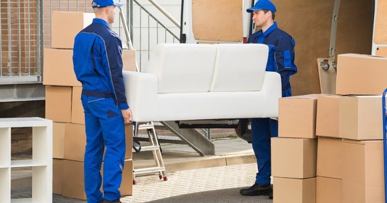 video banner 2 768x402 768x402